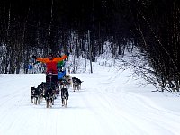 Constanze and her dog team on the road north from Ammarnaes