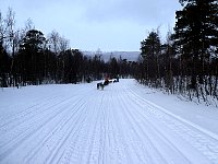 Other sleds in a nice line