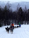 Constanze and her dog team on the road north from Ammarnaes