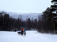 Constanze and her dog team on the road north from Ammarnaes