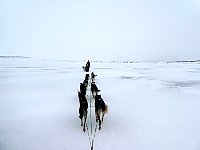 Off-trail sledding