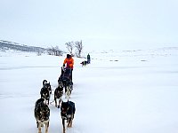 Off-trail sledding