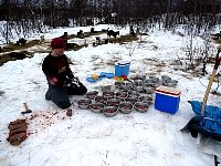 Preparing the breakfast for the dogs