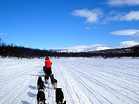 Sledding out of Jaekkvik in good weather