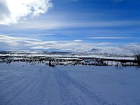 Scenery between Jaekkvik and Miekak