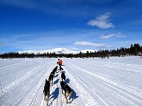 Crouching behind the sled