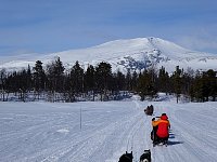 Crouching behind the sled