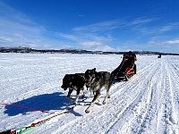 Crouching behind the sled