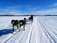 Crouching behind the sled