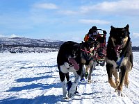 Crouching behind the sled