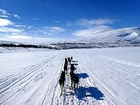 Alone on the trail