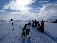 Polar Circle sign