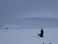 Final kilometers to Lomtjaernstugan off trail