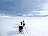 Final kilometers to Lomtjaernstugan off trail