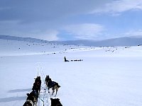 Final kilometers to Lomtjaernstugan off trail