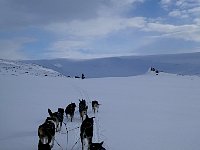 Final kilometers to Lomtjaernstugan off trail