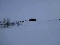 Hut as seen from dogs position