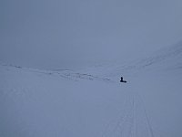 Dogsledding in whiteout