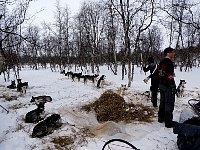 Raking up snow