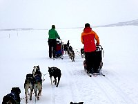 Dogsledding on Taerna Lake