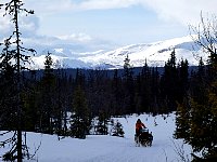 Shiny mountains, overcast trail