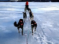 Running on broken ice