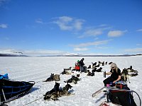 Rest on dog sled tour and drinking tea