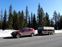 Car and dog trailer on road