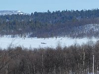 Dog sleds in distance