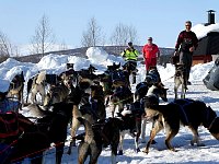 Dogs standing at end of tour