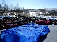 Dog jackets drying on top of trailer