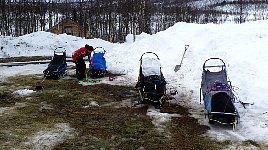 Sleds ready for pushing