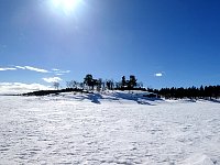 Sunny day dogsledding