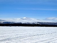 Sunny day dogsledding scenery