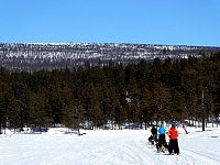 Sunny day dogsledding