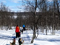 Sunny day dogsledding