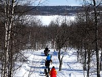 Sunny day dogsledding