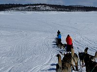 Sunny day dogsledding