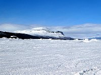 Sunny day dogsledding scenery