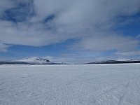 Sunny day dogsledding scenery