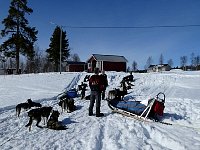 Vounatjviken dog camp