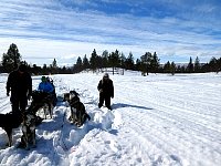 Standing in deep snow