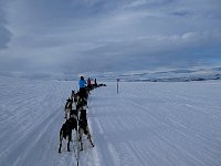 Following snowmobile trail