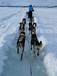 Water filled snowmobile trail on lake