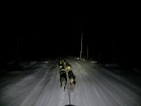 Dogsledding with headlamps in darkness