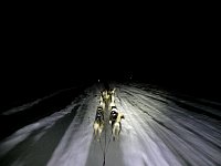 Dogsledding with headlamps in darkness