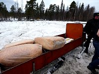 Snowmobile trailer with food and wood wool