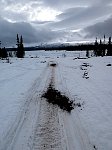 Trail with exposed soil near Bjoerkudden