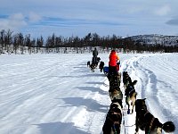 Moving out of frozen snowmobile trail