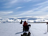 Dog sledding along snowmobile markers